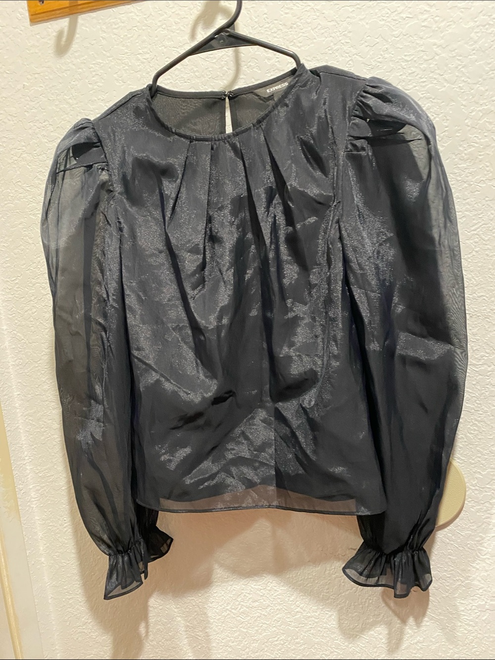 Express Sheer Black Puff-Sleeve Blouse